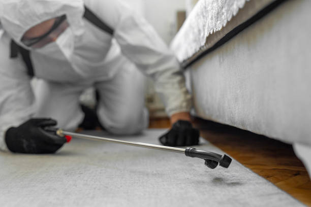 Professional Pest Control technician working in Polk County County, MN